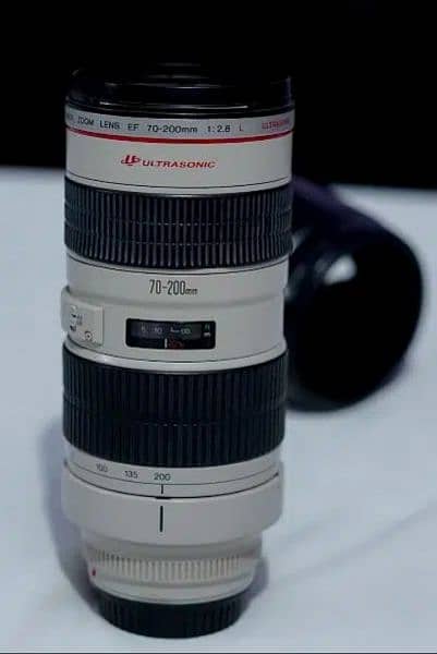 Canon 6d Mark ii & 70-200-2.8 lens 8