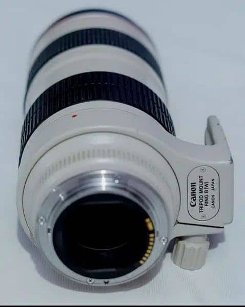 Canon 6d Mark ii & 70-200-2.8 lens 10