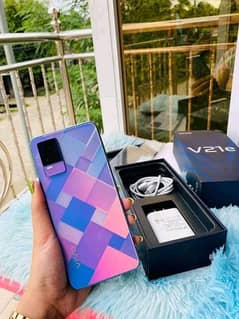 vivo