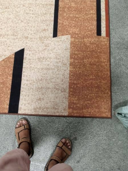 Carpet Rugs 6x4 Feet In Beautiful Designs 11