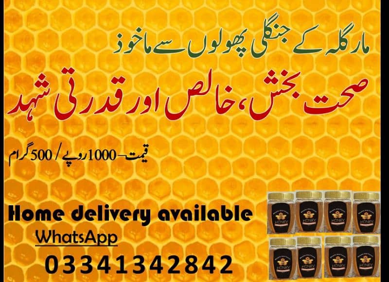 Pure and Organic Honey (Rs 1000 / half KG) 1