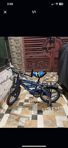 Lion King bicycle for sale