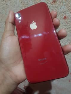 iPhone XR  face ok All Ok iOS 18+ Up-to-date Ture Tone ok phone