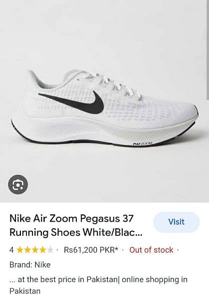 Nike Air Zoom pegasus 37 12