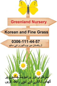 Natural Korean Grass and Fine dhaka Grass