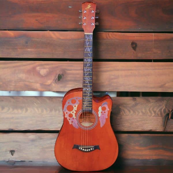 USA Brand begginer Guitar | Guitar, violin, Ukulele, Piano 5
