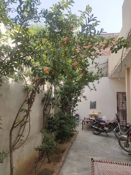 4-Marla Beautiful Semi Commercial Ghar for Sell 17