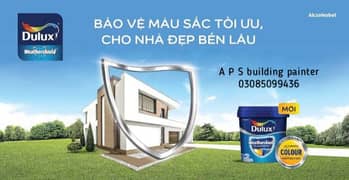 APS home peintar service 03085099436
