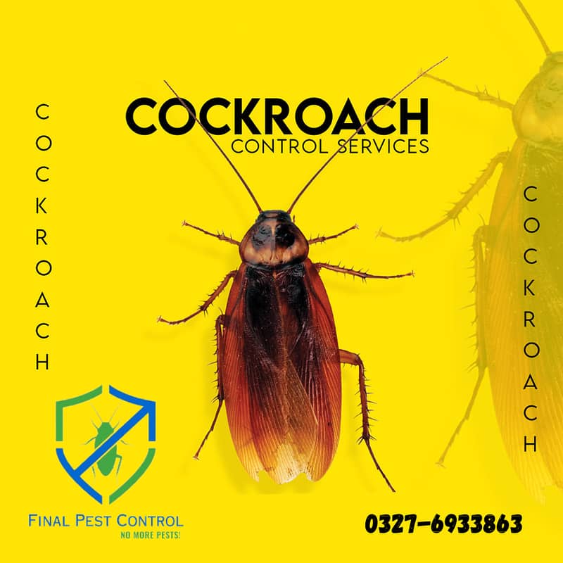 Termite (Deemak) proofing,Cockroach,Bed Bugs,mosquito Dengue Services 1