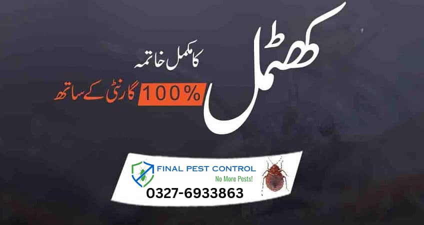 Termite (Deemak) proofing,Cockroach,Bed Bugs,mosquito Dengue Services 4