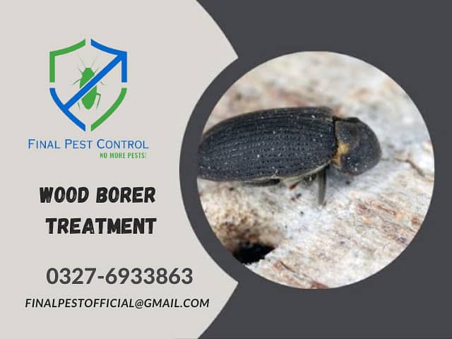 Termite (Deemak) proofing,Cockroach,Bed Bugs,mosquito Dengue Services 12