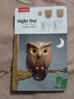 Key Holder Cute Night Owl Key Holder Wall For Hanging Key (Call me Onl