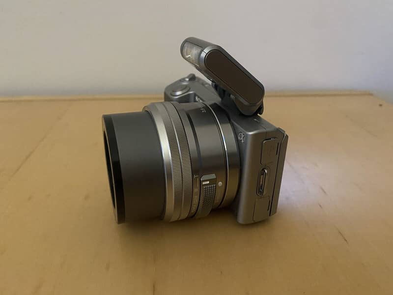 Sony Nex 5  Mirrorless DSLR 1