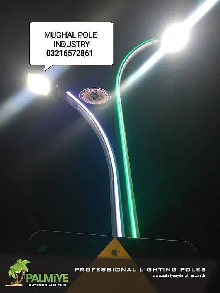 decorative / Street Lighting Poles / Solar/ lightsandPoles/ road light 9