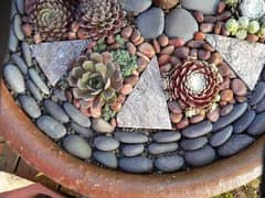 Garden decorative pebbles| 1kg=170