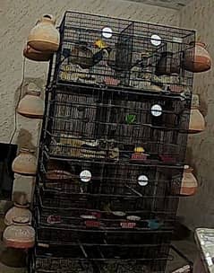 cage for sale