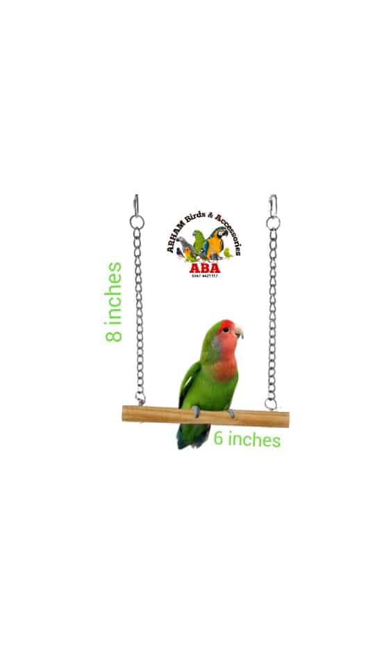 Seed Cleaning Machine (All Birds Accessories) 13