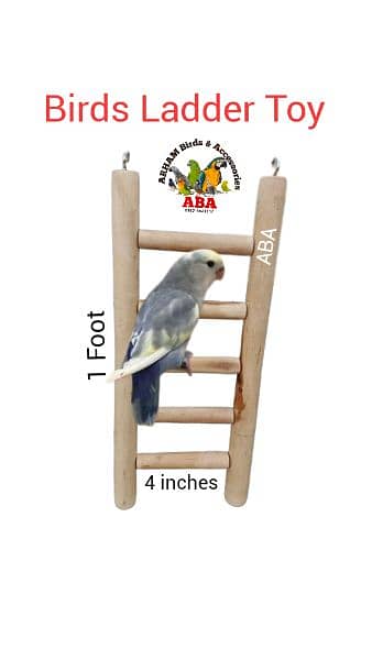 Seed Cleaning Machine (All Birds Accessories) 8