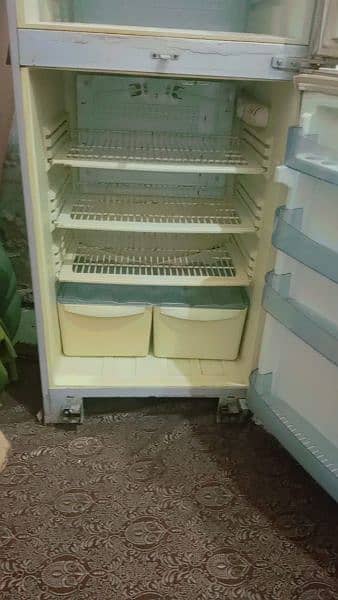 PEL Company Full size fridge good condition just buy & use 5