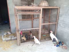 special cage 5 by 6.5 fot China wood 6 portion cage