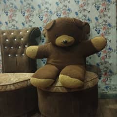 Teddy Bear 0