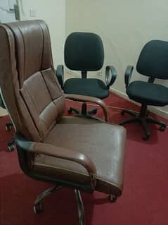 Executive