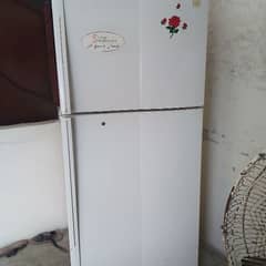full size fridge 03234883007
