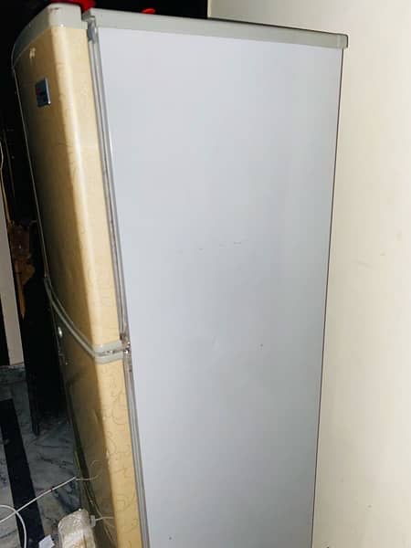 fridg medium 2
