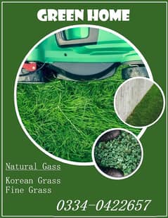 Natural Korean Grass and American Grass and Fine Grass