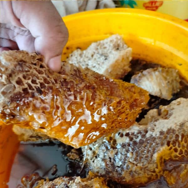 Pure Desi Forest Honey With Money Back Guarantee 1