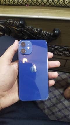 iphone 12 mini pta approved olx