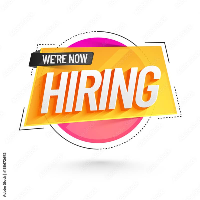 We are Hiring Need female Parsons for eBay, etsy, shopify, Website SEO 4