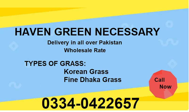 Natural Korean Grass and American Grass and Fine dhaka Gass 4