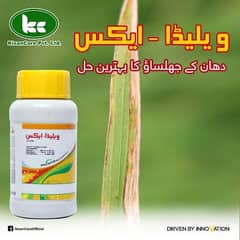 ویلیڈا-ایکس 100 ml