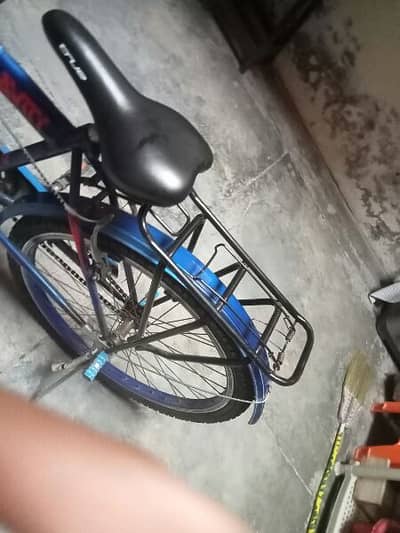 03153241456
