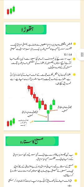 Simple Trading Book Urdu 5