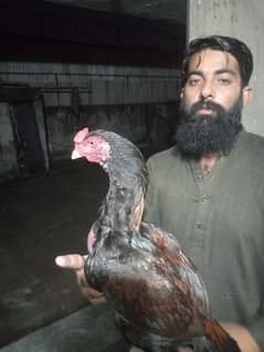 Muhammad