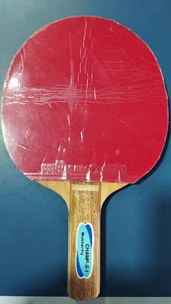 Table Tennis custom Racket