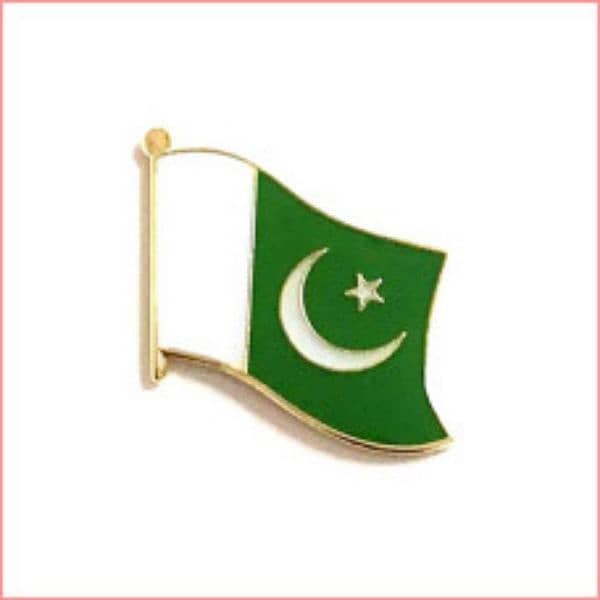 Pakistan Flags coat pins 0