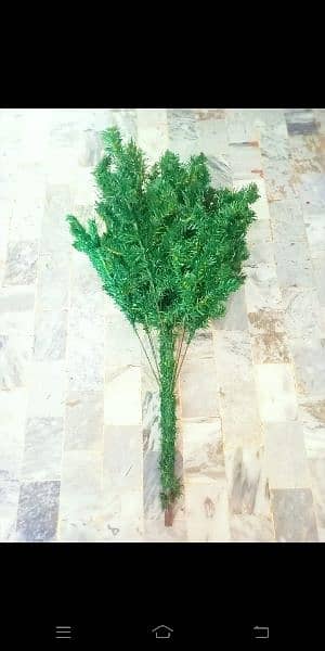 special Christmas discount chrismas tree 6ft hight full size impoted 4