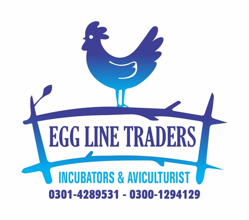 IMPORTED EGGS INCUBATOR 3