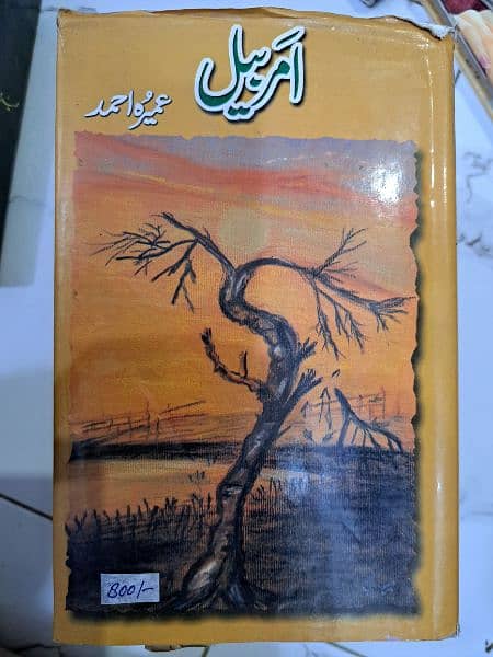 Urdu, English and relifious books 7