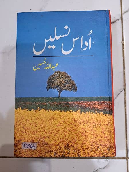 Urdu, English and relifious books 14