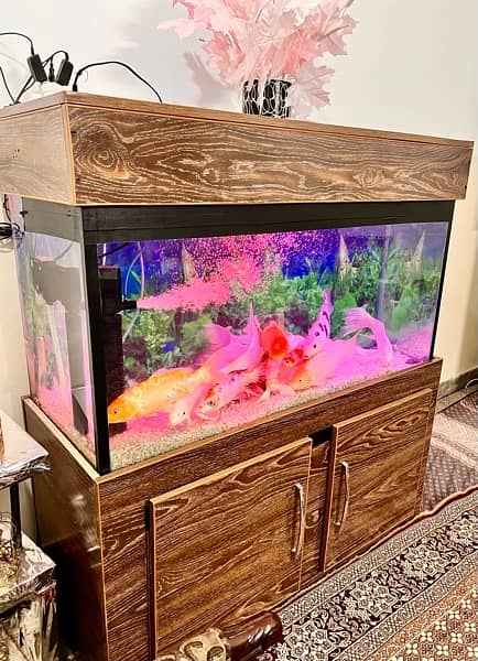 Aquariam / Fish aquariam for sale / Fish setup for sale 6