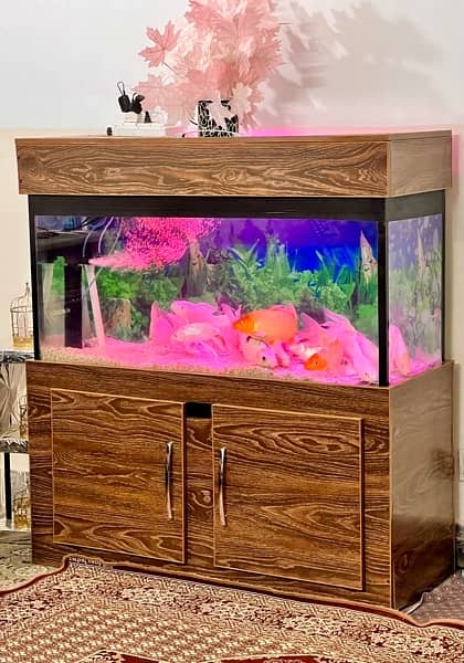 Aquariam / Fish aquariam for sale / Fish setup for sale 3