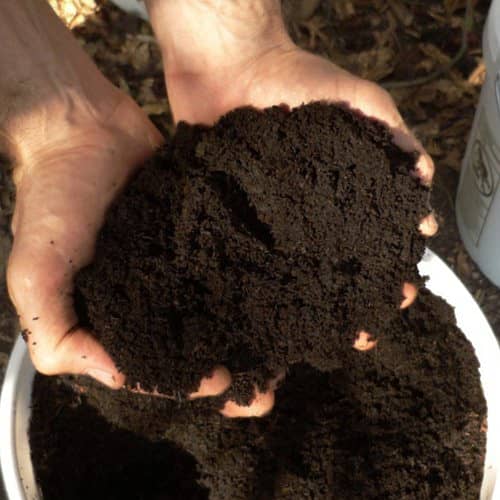 Vermicompost (vermi compost) 50kg bag 1