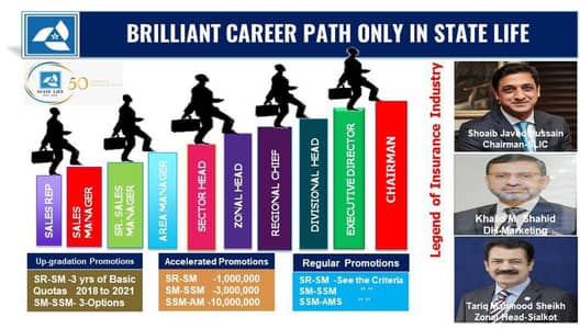 Sales Manager