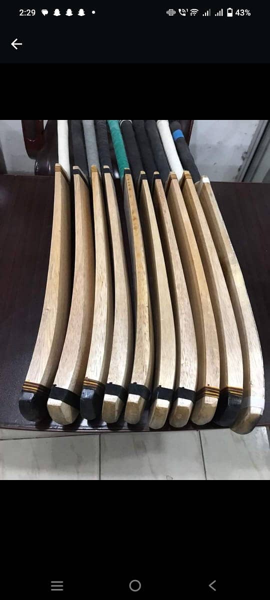 cricket bat 13