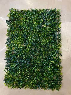 Grass Moss / Grass Boti || 16x24 inches