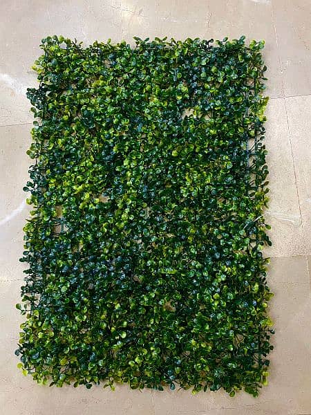 Grass Moss / Grass Boti || 16x24 inches 0